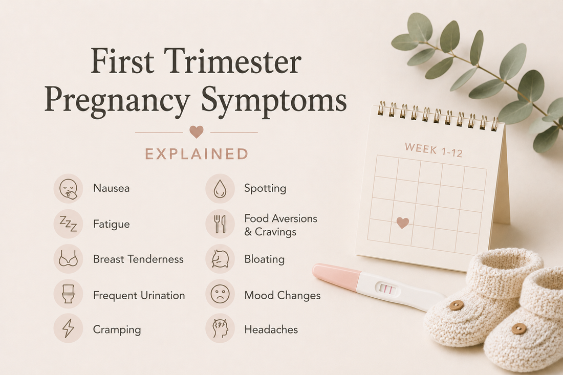 First Trimester Pregnancy Symptoms Explained