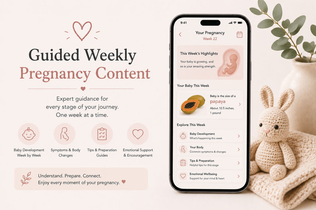 Guided Weekly Pregnancy Content: What to Expect Each Week of Pregnancy