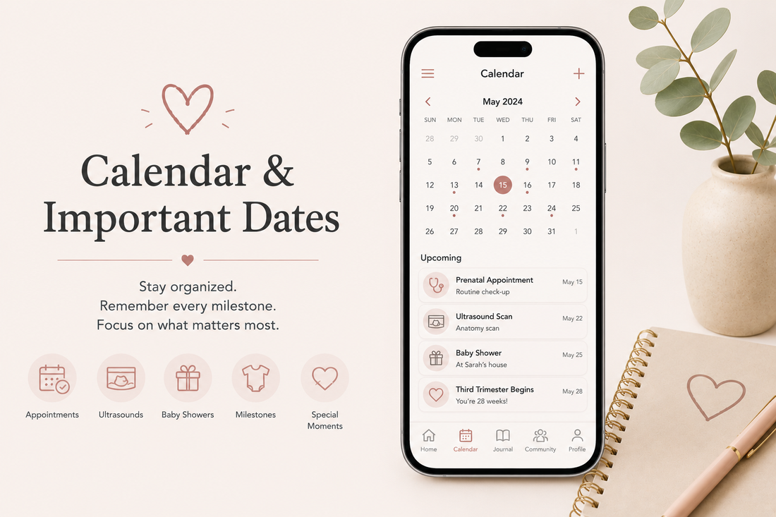 Pregnancy Calendar & Important Dates: Never Miss a Meaningful Milestone