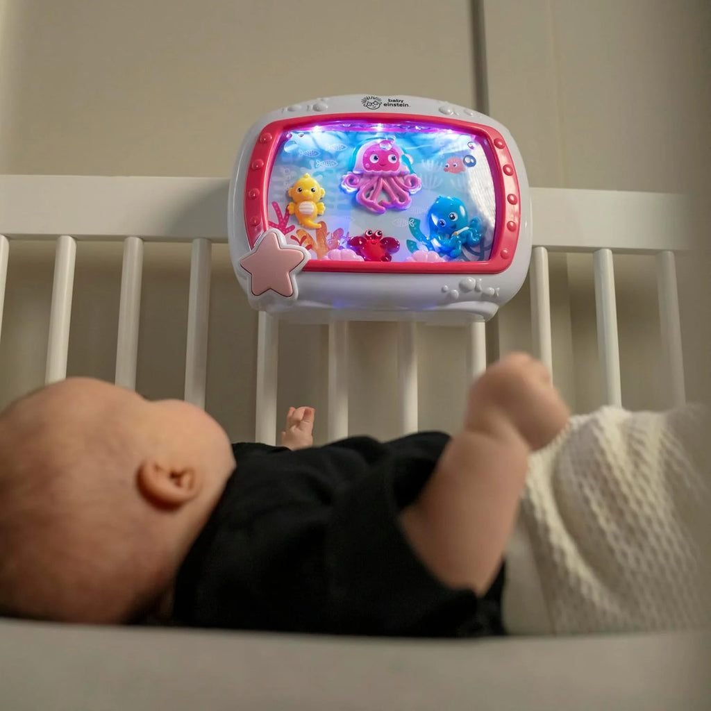 Baby Einstein Sea Dreams Musical Crib Soother